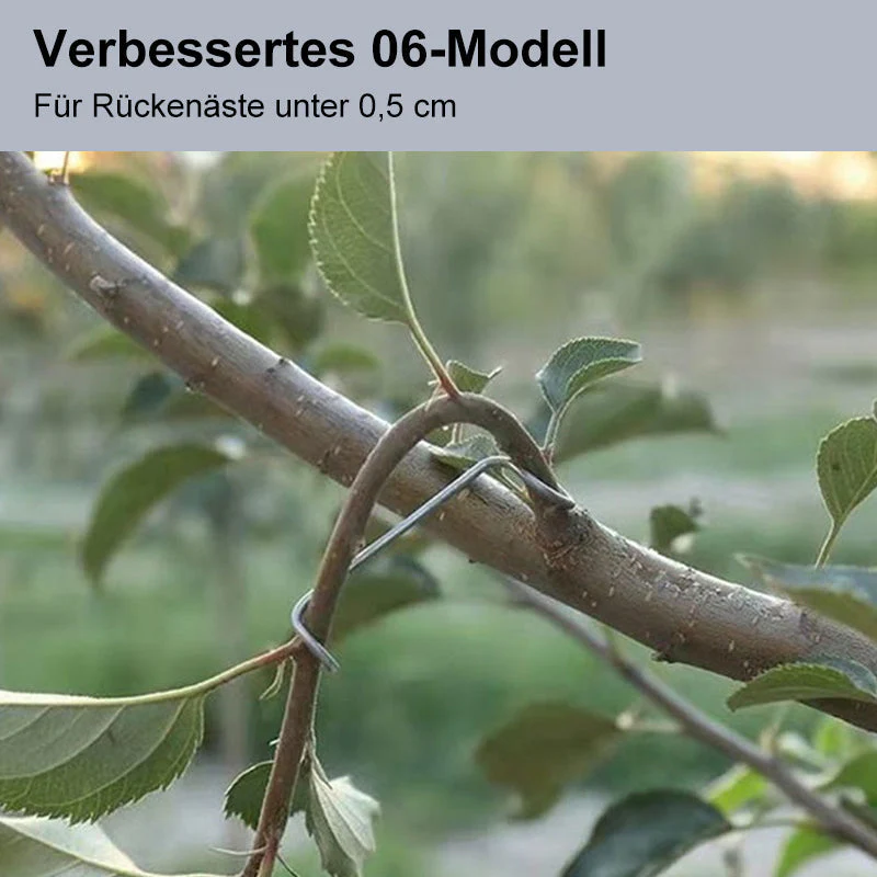 Vorschaubild 6