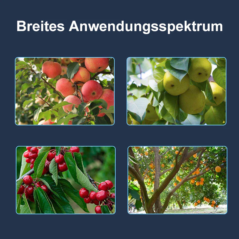 Vorschaubild 8