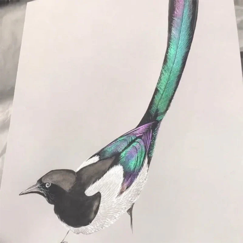 Vorschaubild 8