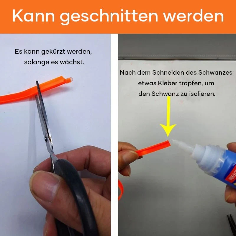 Vorschaubild 8