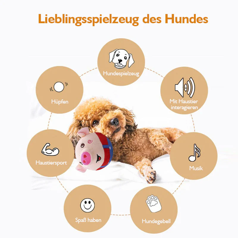 Vorschaubild 7