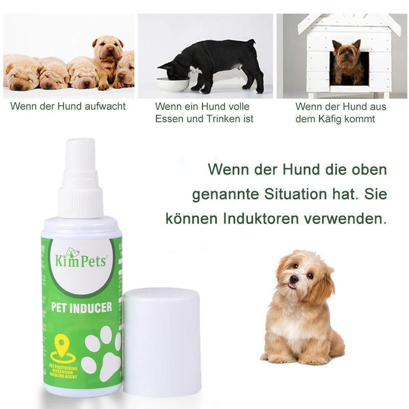 Vorschaubild 7