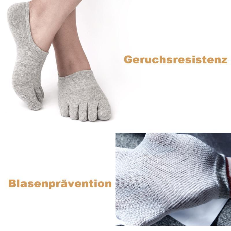 Vorschaubild 5