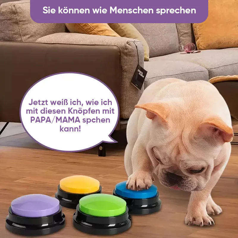 Vorschaubild 12