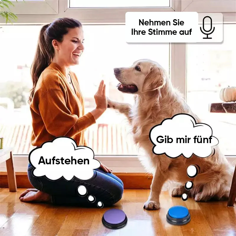 Vorschaubild 6