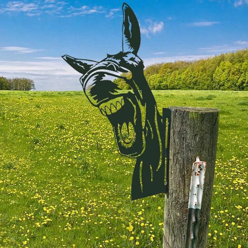 Vorschaubild 11