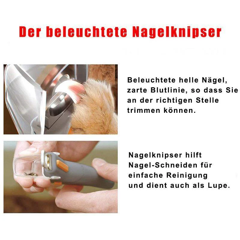 Vorschaubild 5