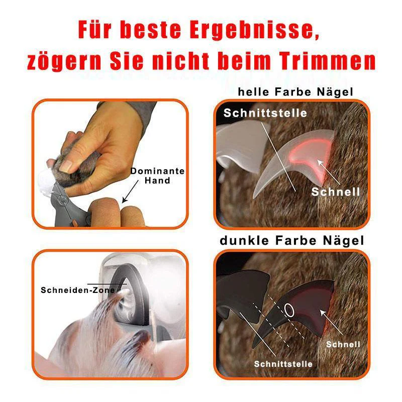 Vorschaubild 6