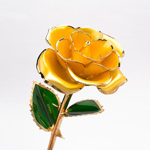 Vorschaubild 14