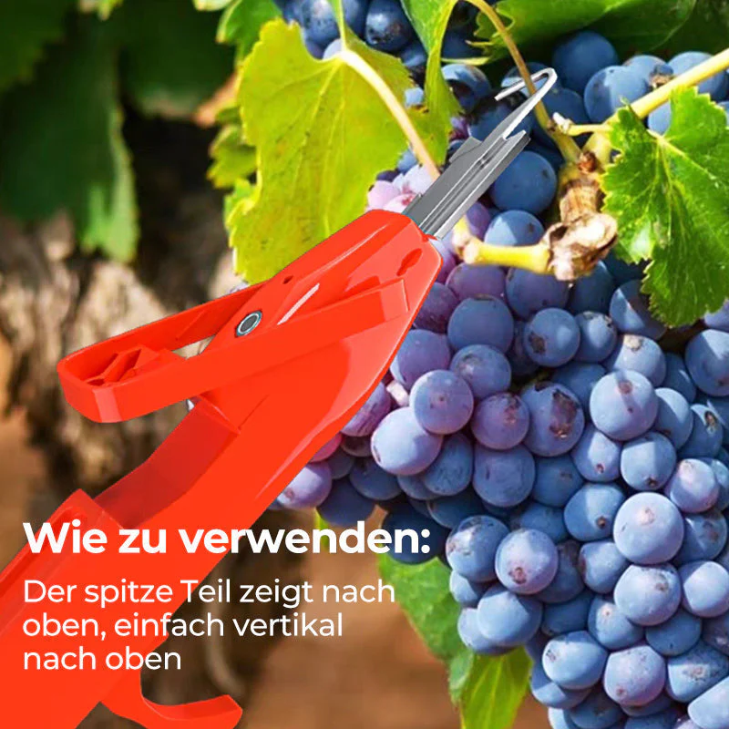 Vorschaubild 11