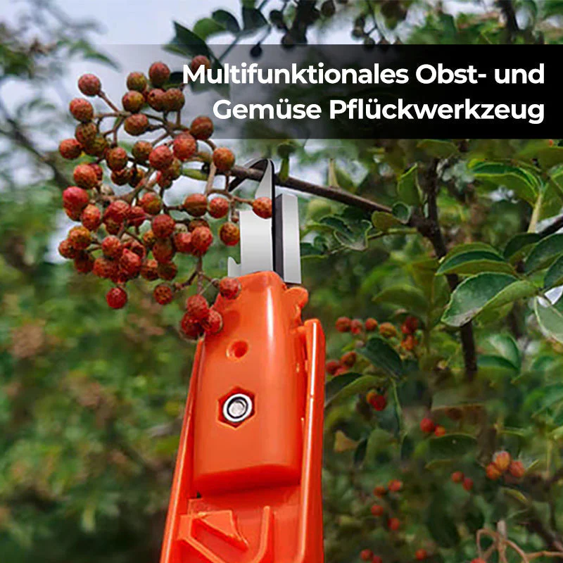 Vorschaubild 5