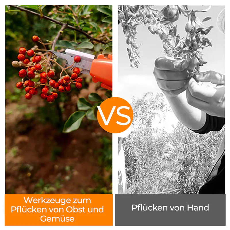 Vorschaubild 7