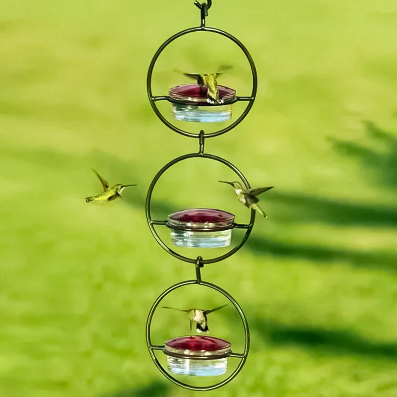 Vorschaubild 5