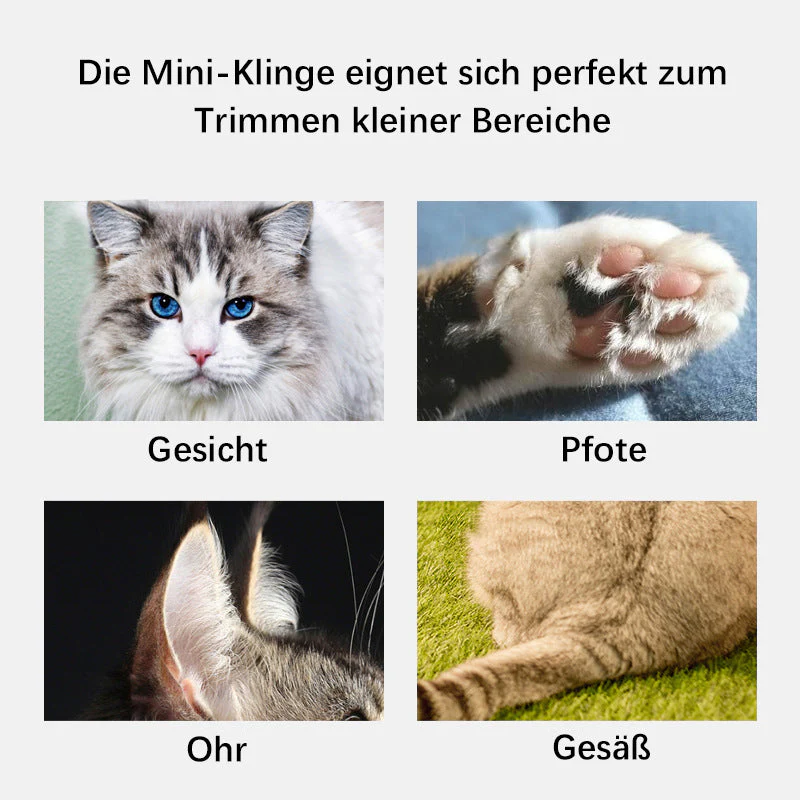 Vorschaubild 11