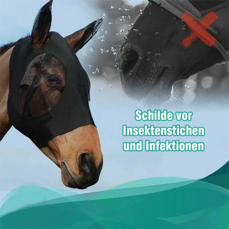 Vorschaubild 5
