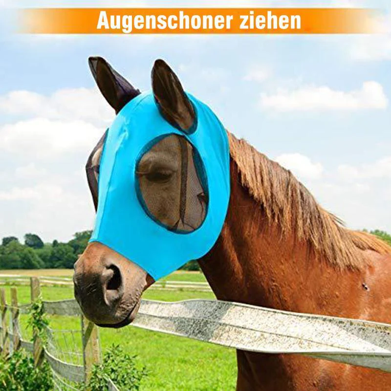 Vorschaubild 6