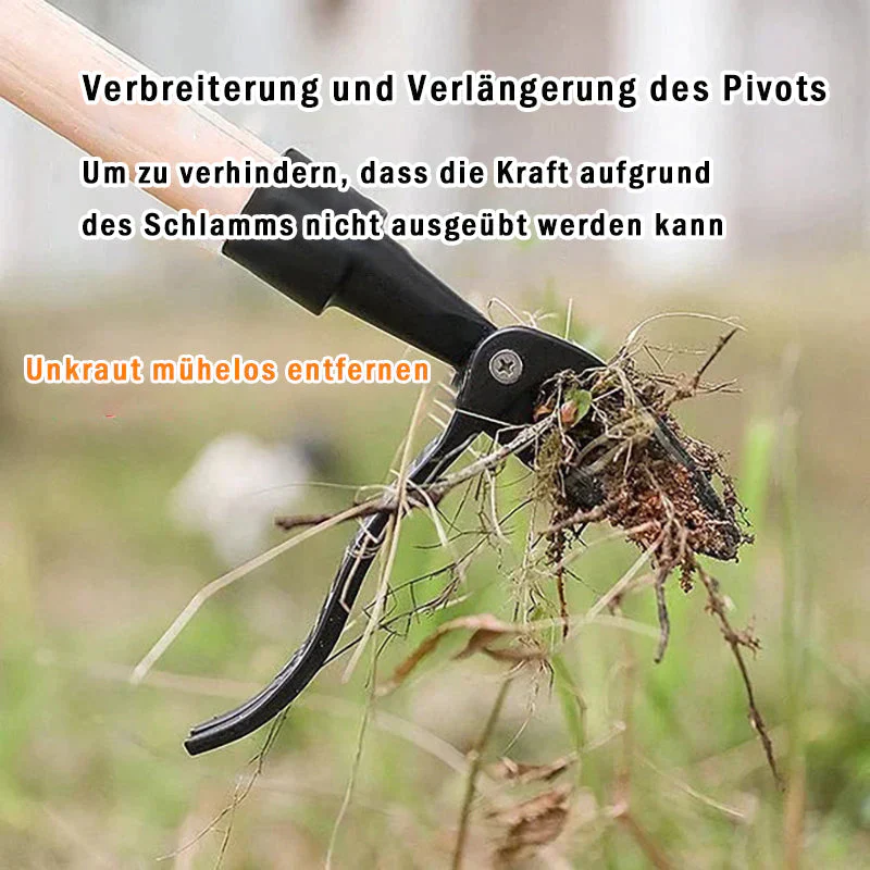 Vorschaubild 4