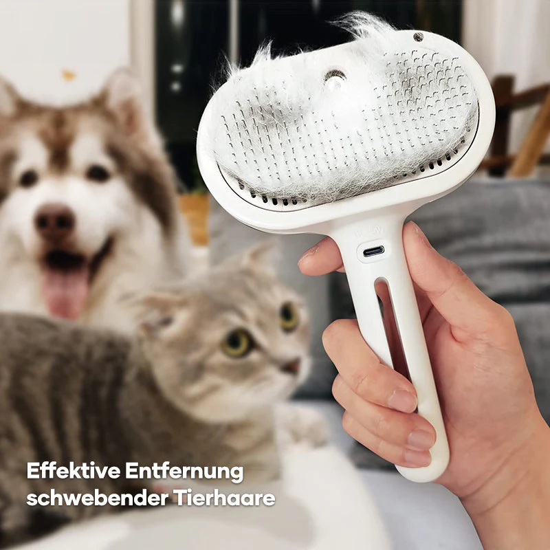 Vorschaubild 9