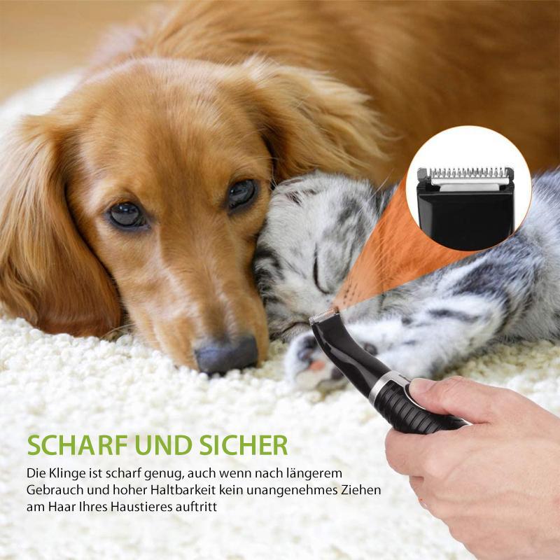 Vorschaubild 8
