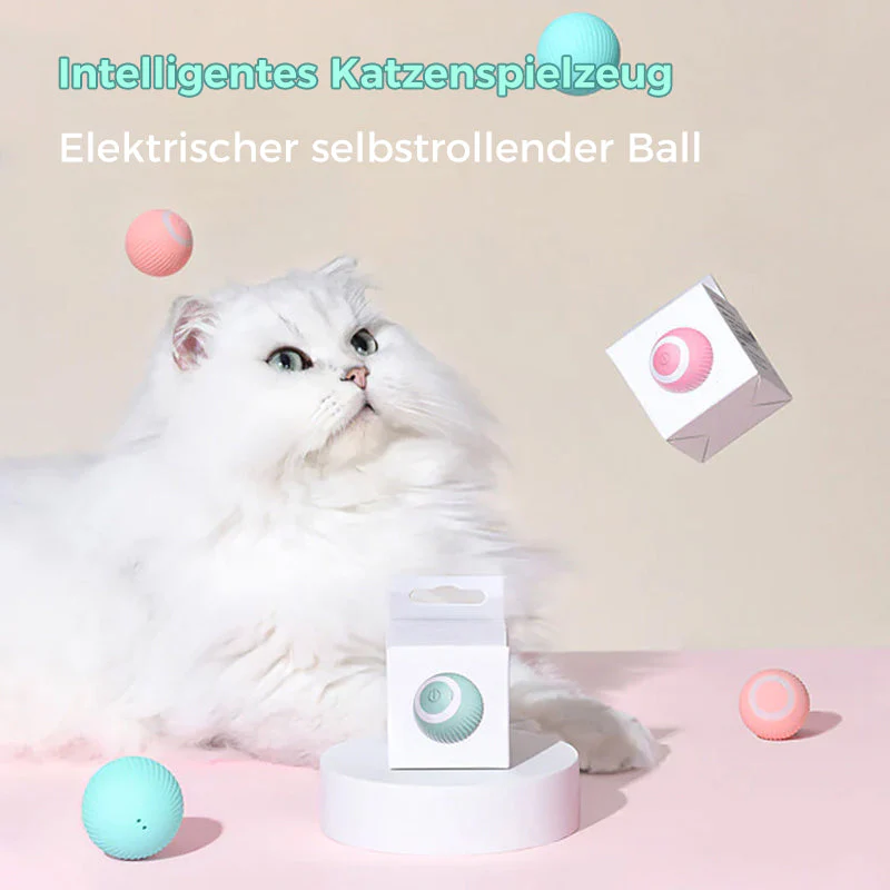 Vorschaubild 1
