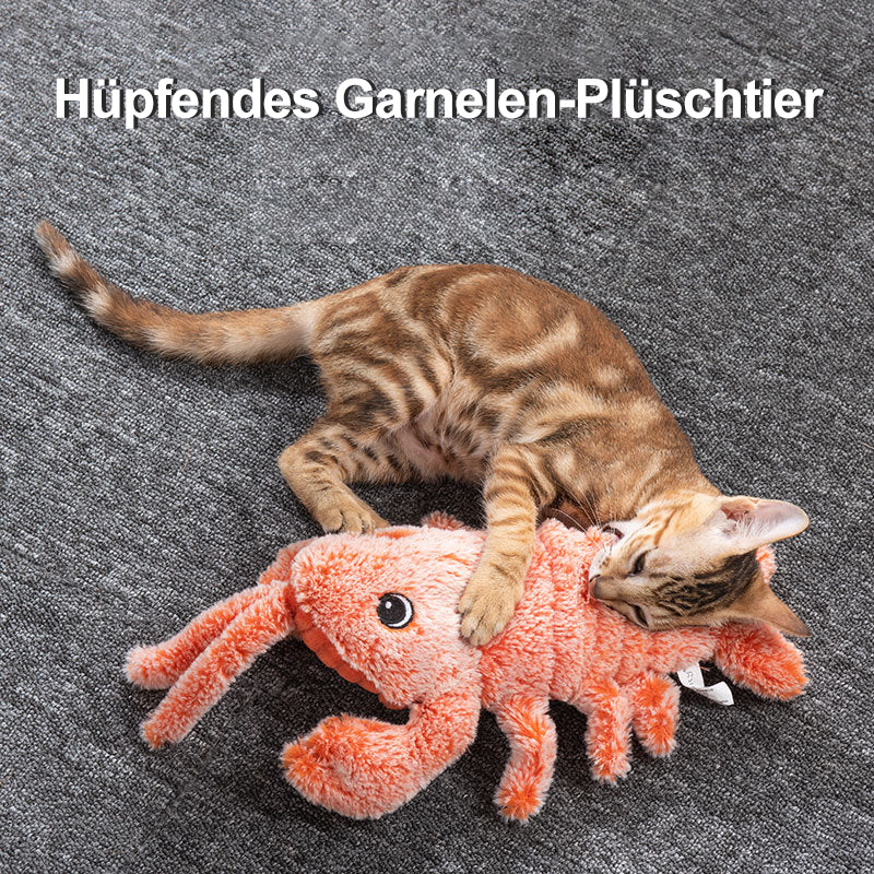 Vorschaubild 8