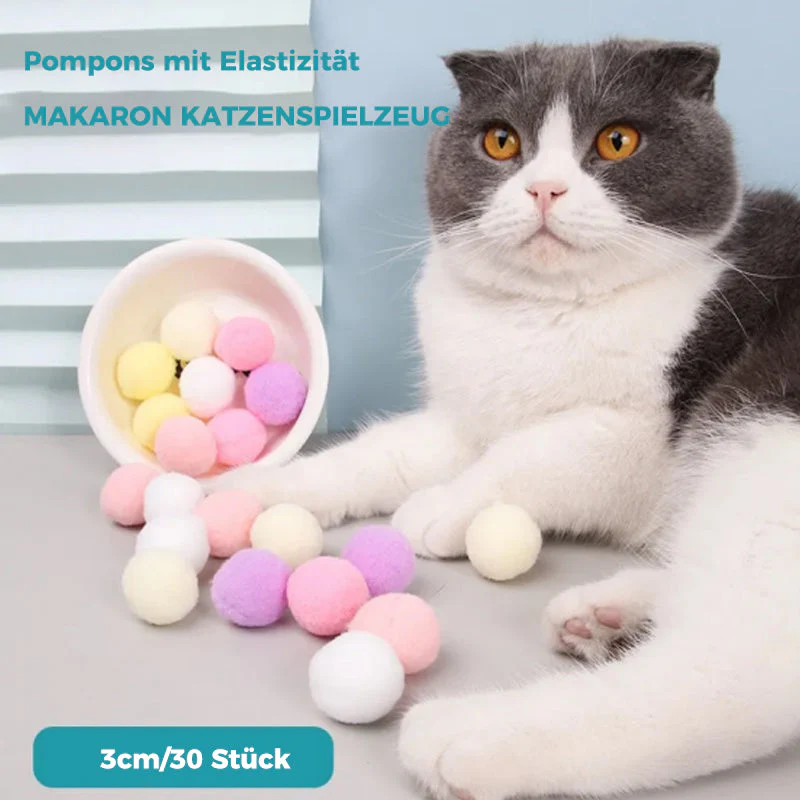 Vorschaubild 6