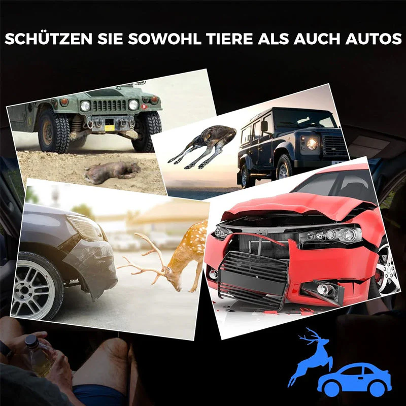 Vorschaubild 7