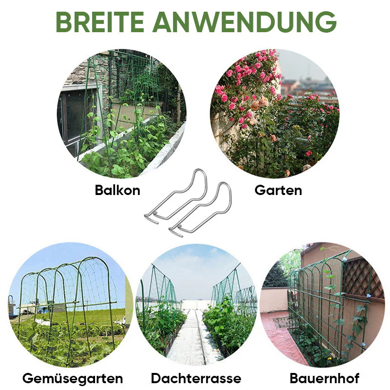 Vorschaubild 10