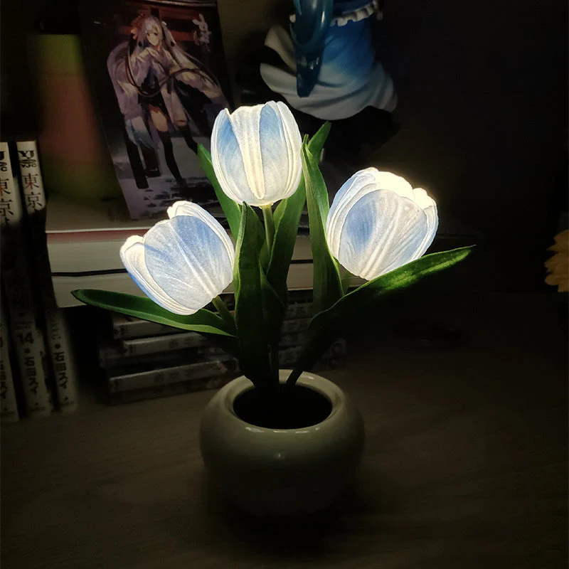 Vorschaubild 11