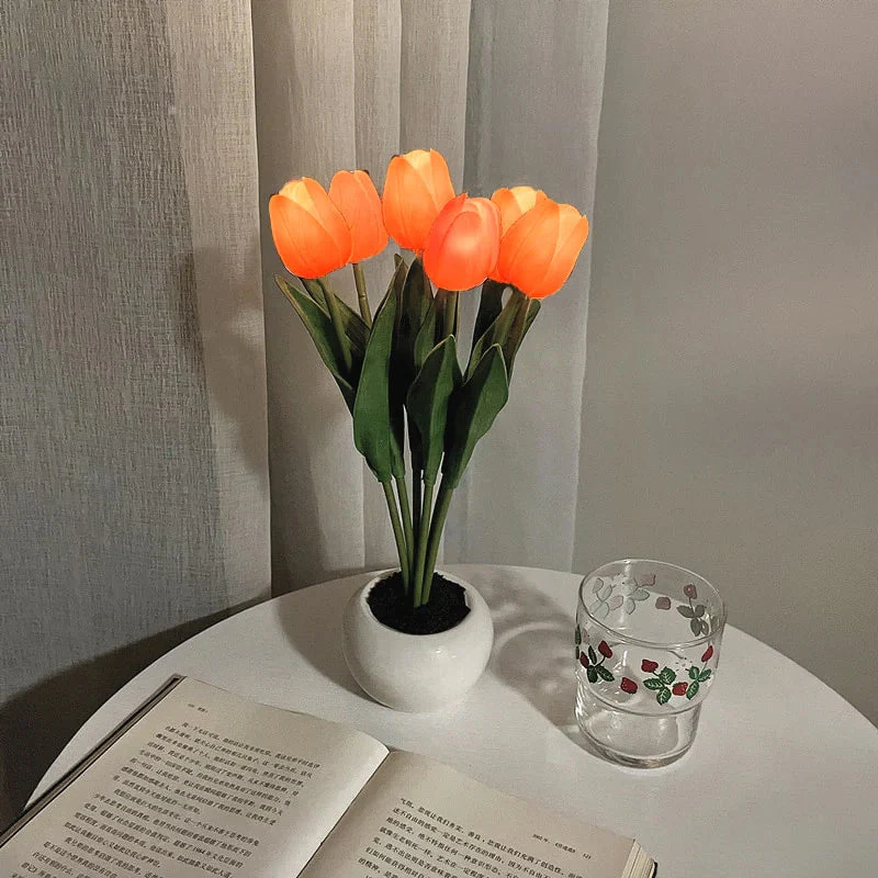 Vorschaubild 20