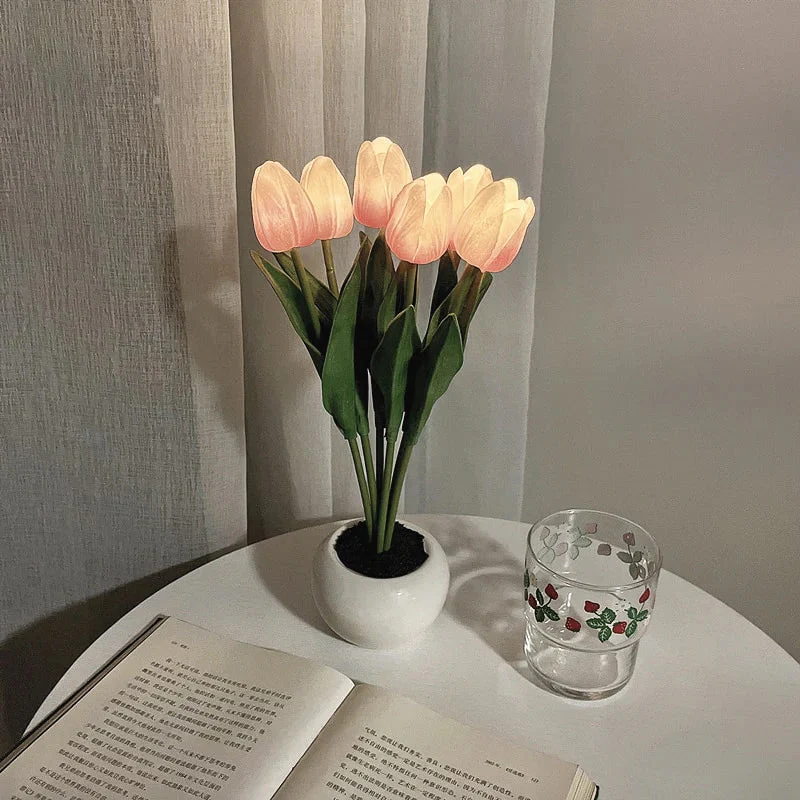 Vorschaubild 24