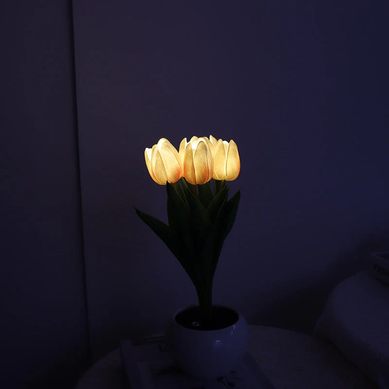 Vorschaubild 9