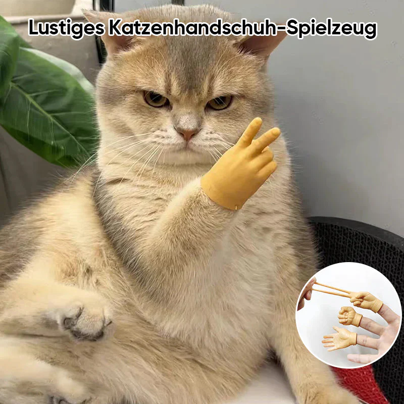 Vorschaubild 9