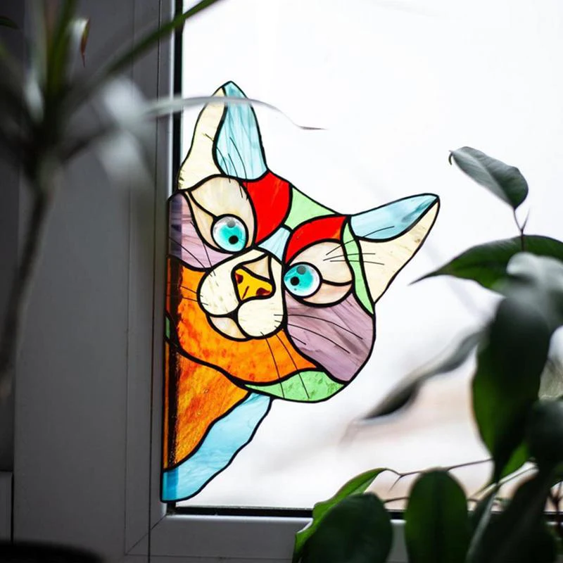 Vorschaubild 7
