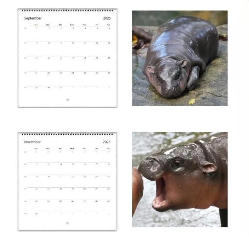 Vorschaubild 13