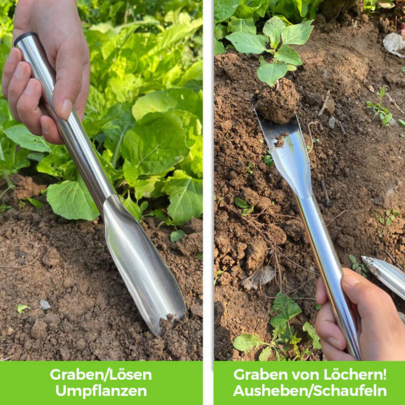 Vorschaubild 10