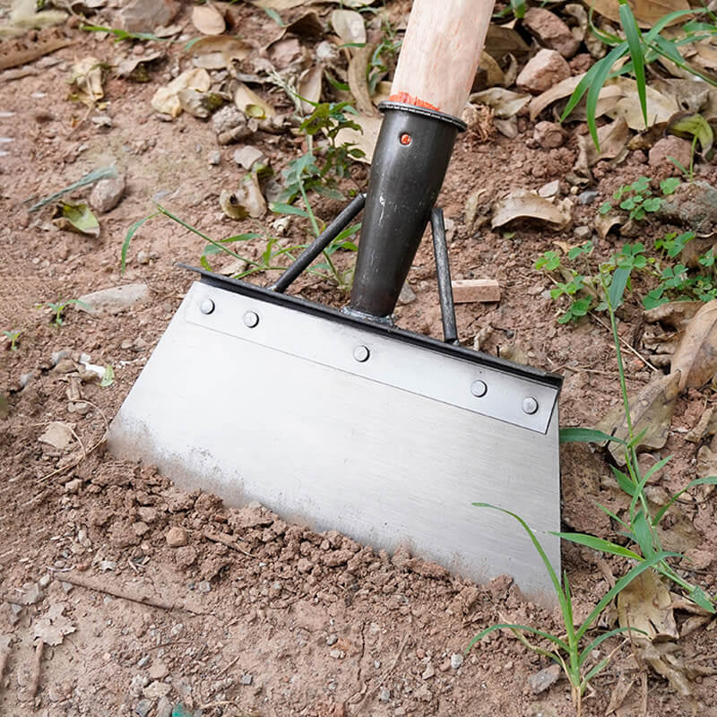 Vorschaubild 3
