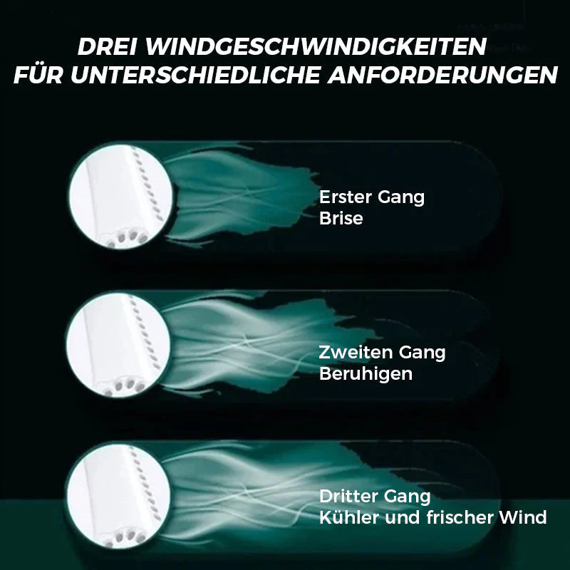 Vorschaubild 7
