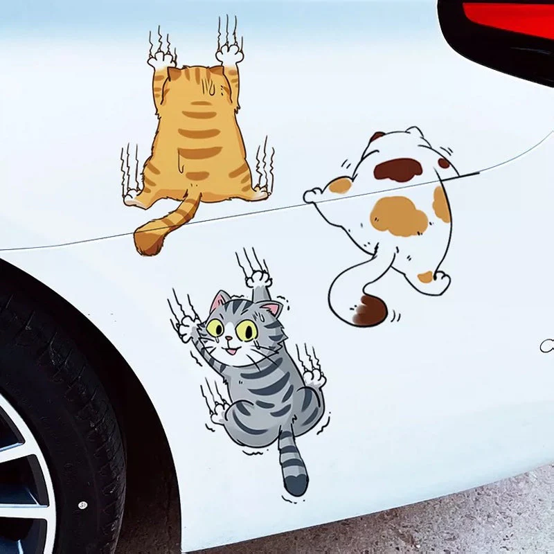 Vorschaubild 8