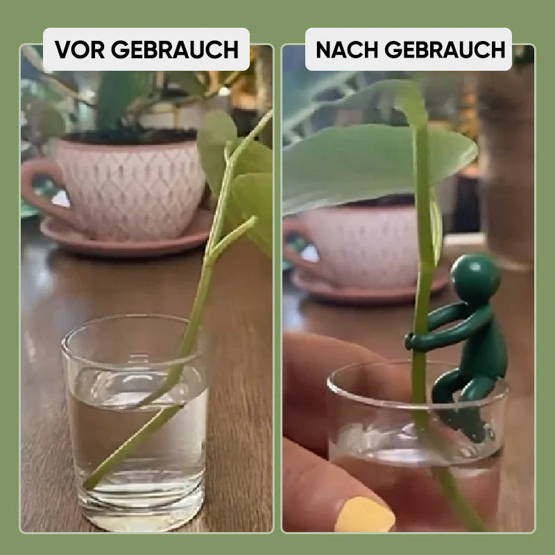 Vorschaubild 3