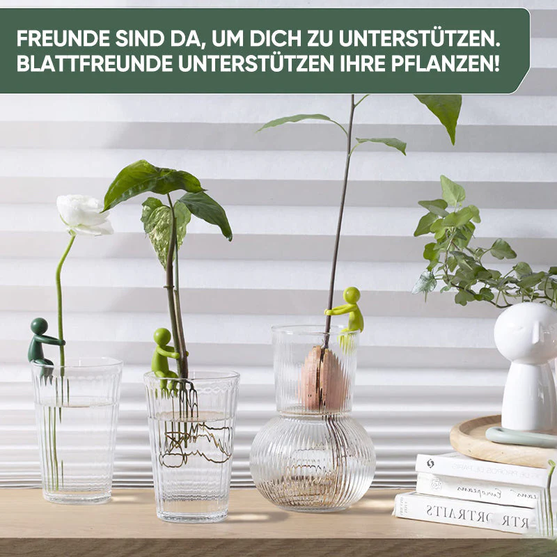 Vorschaubild 9