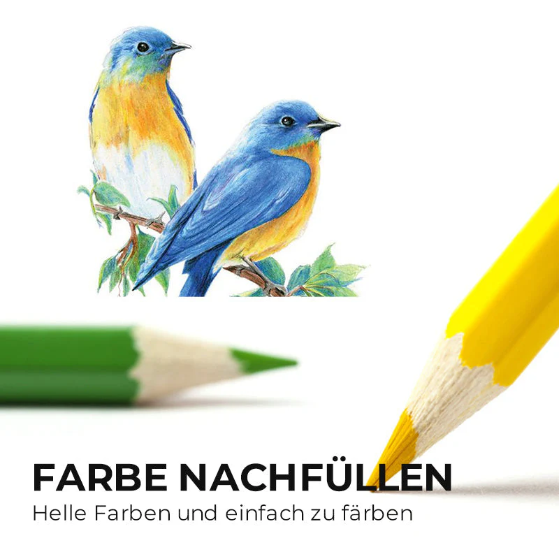 Vorschaubild 8