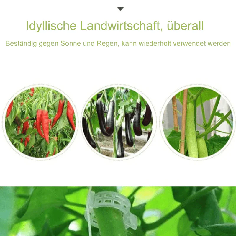 Vorschaubild 5