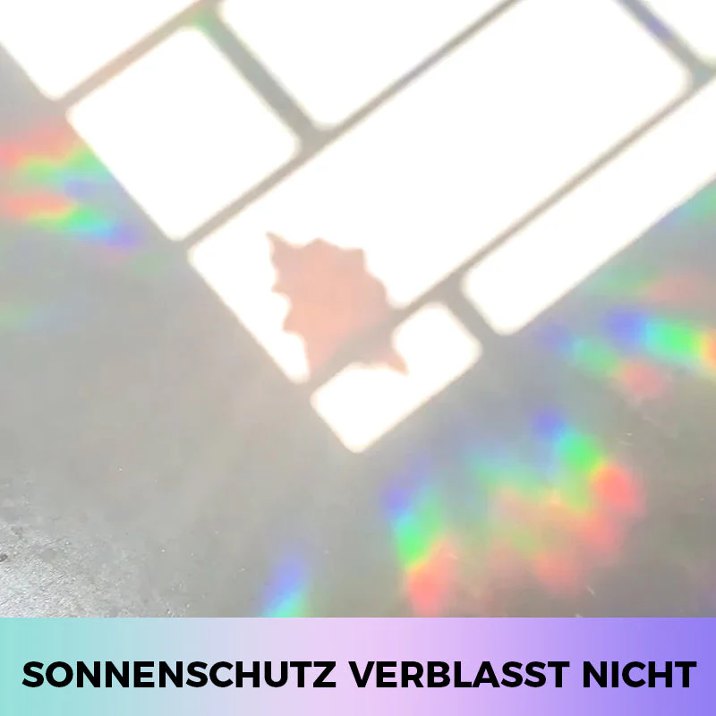 Vorschaubild 11