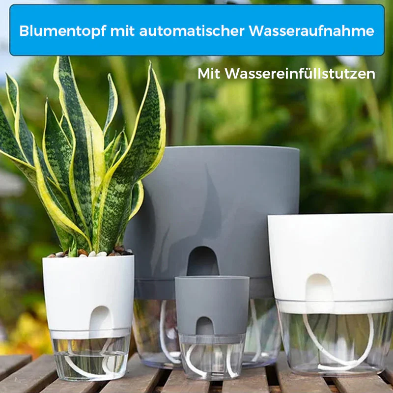 Vorschaubild 10