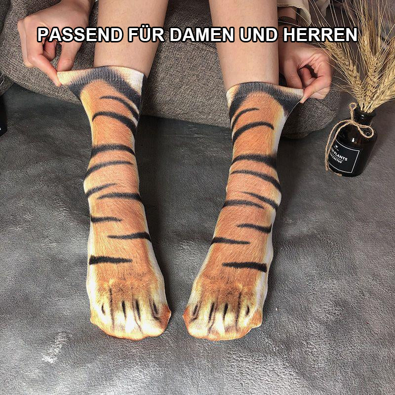 Vorschaubild 5
