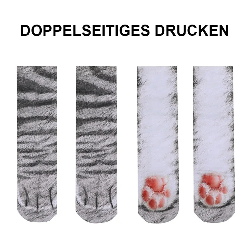 Vorschaubild 7