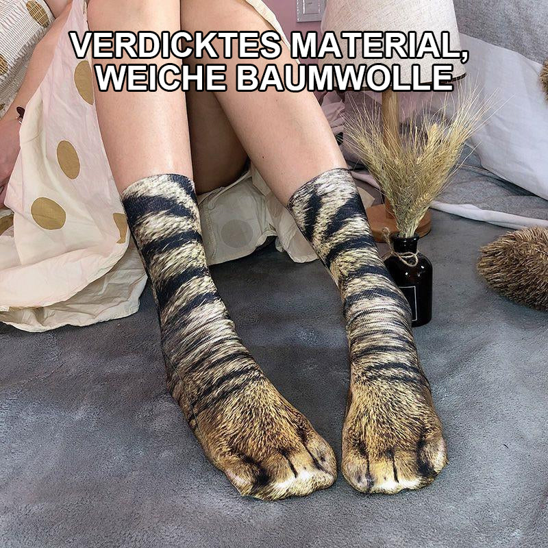 Vorschaubild 8