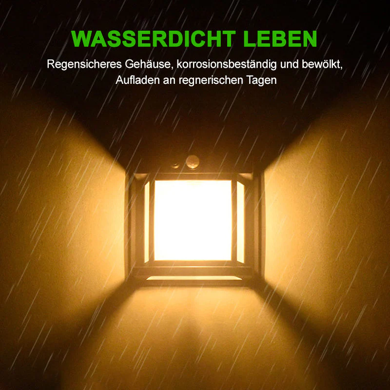 Vorschaubild 5
