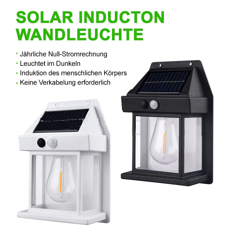 Vorschaubild 6